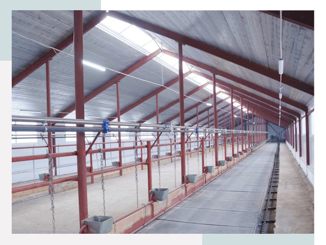 Строительство коровников в Сатке от 621 руб.