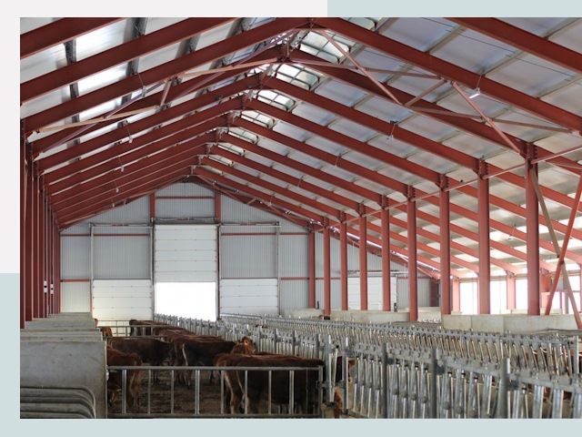 Строительство коровников в Сатке