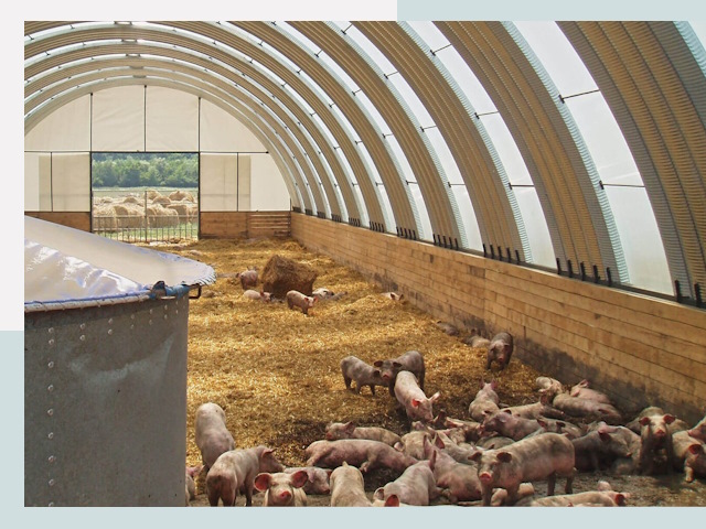 Строительство свинарников в Сатке