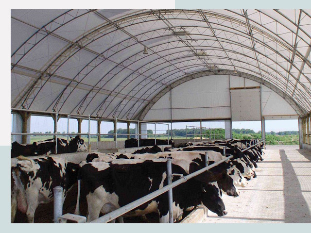 Тентовые коровники в Сатке